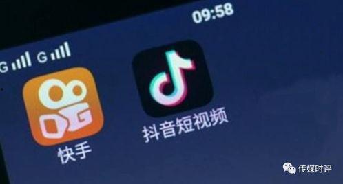 抖音爆料金吉鸟视频,金吉鸟视频背后的精彩故事  第3张